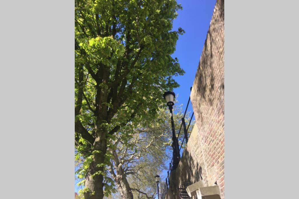 Werfkelder Aan De Oudegracht Leilighet Utrecht Eksteriør bilde